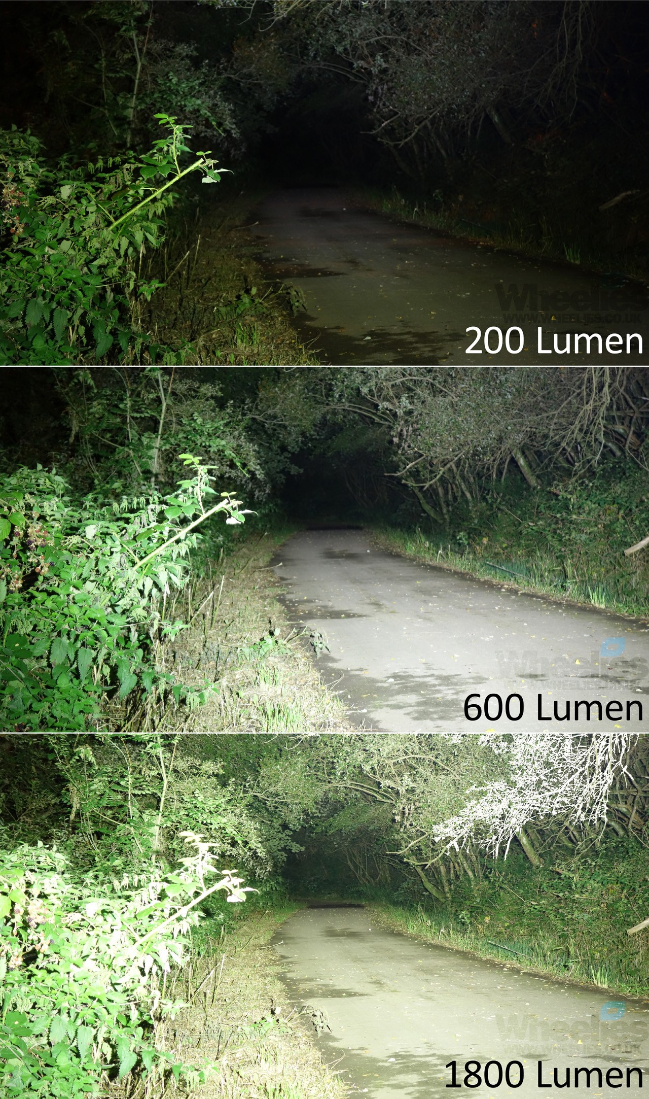 how many lumens rear bike light