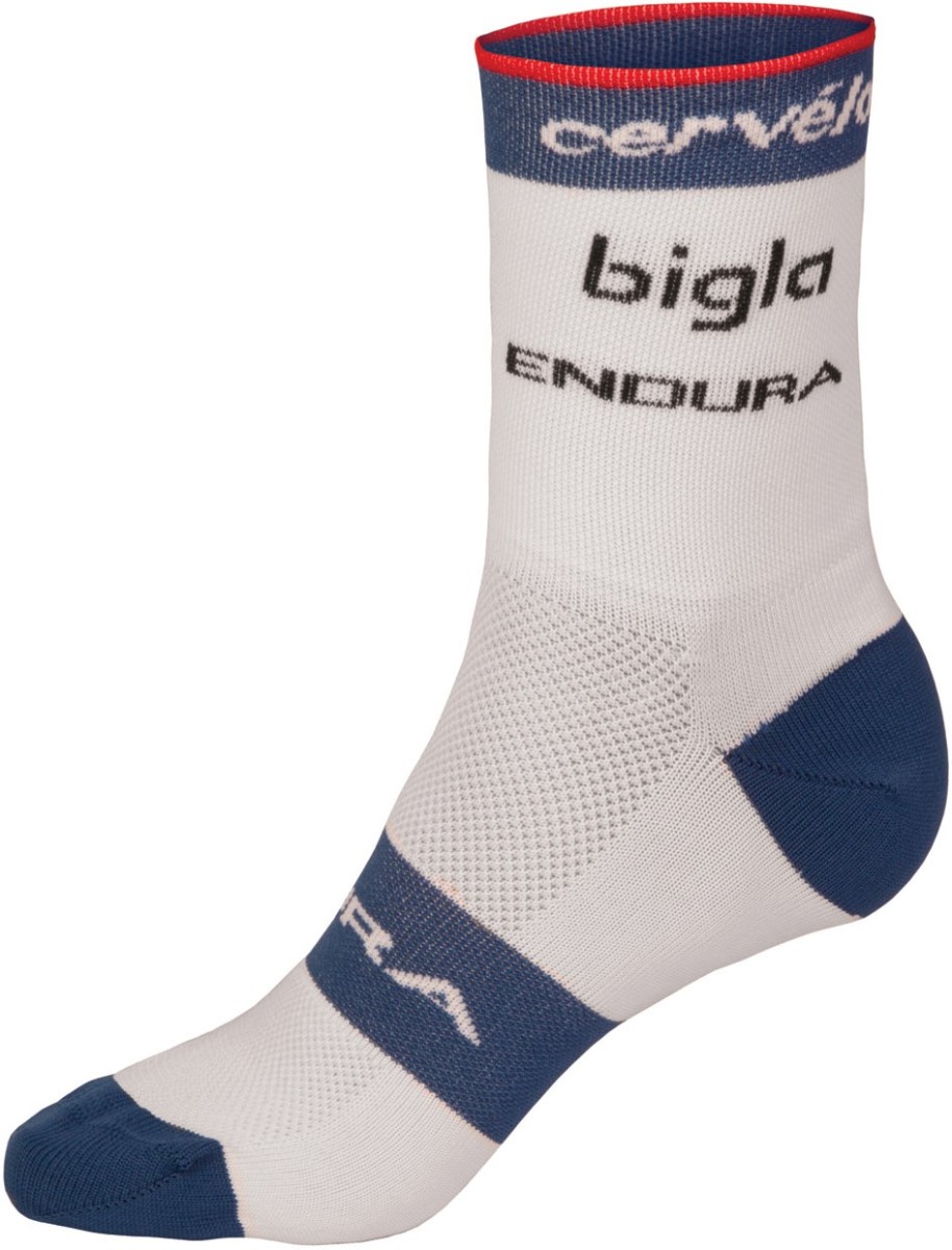 Endura Cervelo Bigla Team Race Sock AW17