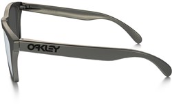 Oakley Frogskins Metals Collection Sunglasses