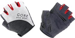 Gore E Gloves AW17
