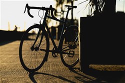 Genesis Flyer 2019 Road Bike