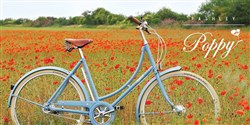 Pashley Poppy Womens 2020 Hybrid Classic Bike