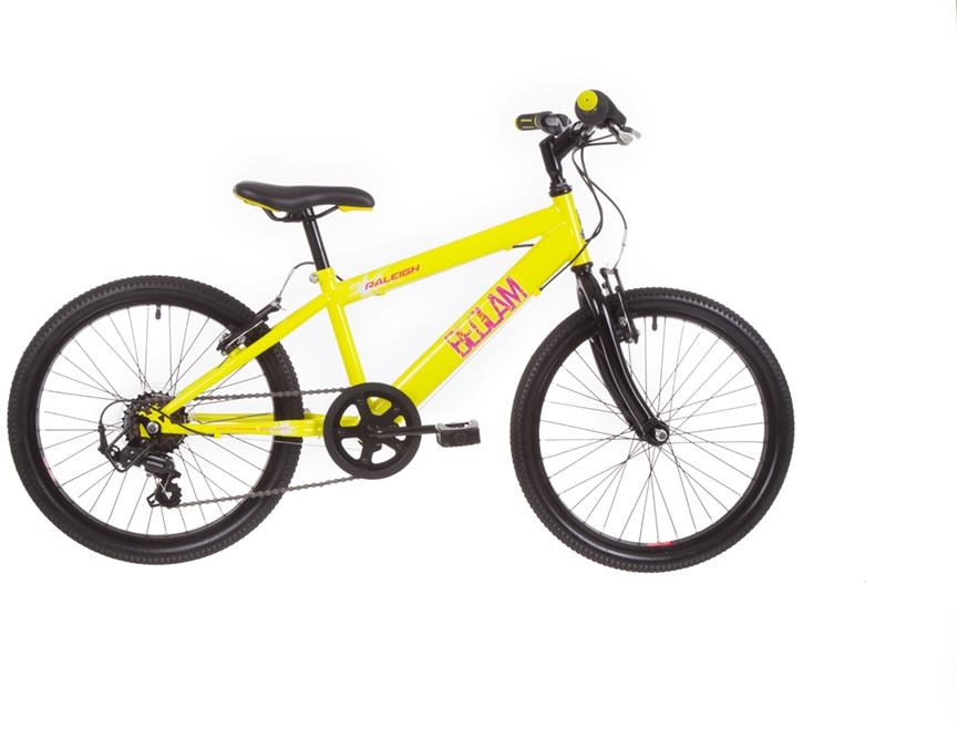 Raleigh Bedlam 20w 2019 Kids Bike