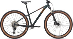 Image of Liv Tempt 0 2025 Mountain Bike