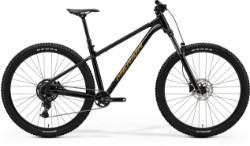 Image of Merida Big Trail 300  2025 Mountain Bike