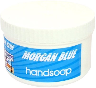 Morgan Blue Handsoap