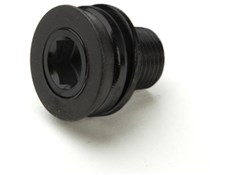 Image of Race Face Replacement Crank Bolt ISIS M12/M15