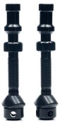 Image of Stans NoTubes Tubeless Universal+ Valves Pair