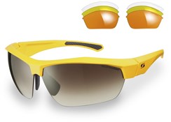 Sunwise Shipley Sunglasses